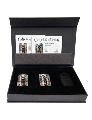 SIAMESE CAT IN BANGKOK Cats in the City Premium Gussbarren 100g Silber - Coins & More - Silber