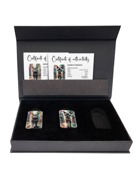 SIAMESE CAT IN BANGKOK Cats in the City Bar Premium fuso 100g Argento - Coins & More - Argento
