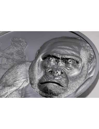GORILLA Growing Up 2 Oz Silver Coin 2000 Francs CFA Cameroun 2024 - Coins & More - Palau