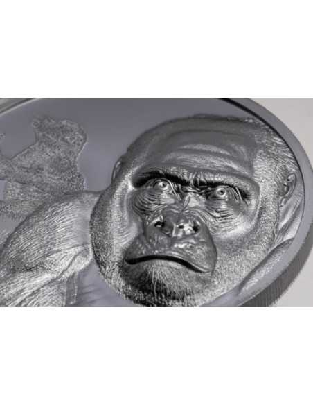 GORILLA Growing Up 2 Oz Silver Coin 2000 Francs CFA Cameroun 2024 - Coins & More - Palau