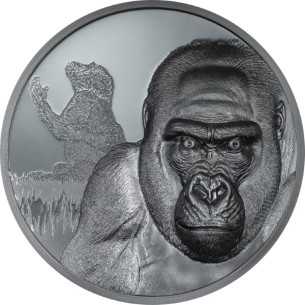 GORILLA Growing Up 2 Oz Silbermünze 2000 Francs CFA Kamerun 2024 - Coins & More - Palau