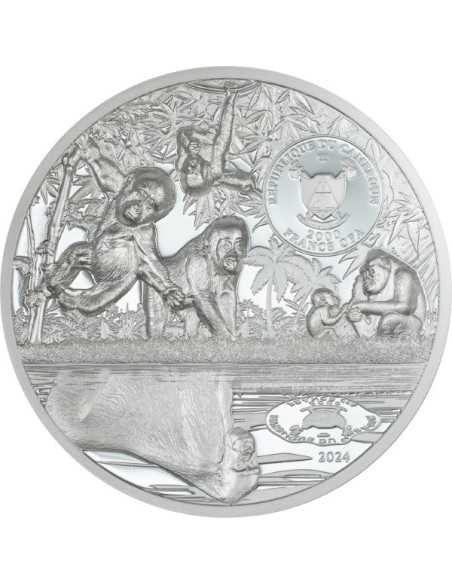 GORILLA Growing Up 2 Oz Silver Coin 2000 Francs CFA Cameroon 2024 - Coins & More - Palau
