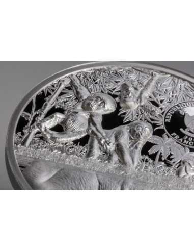 GORILLA Growing Up 2 Oz Silver Coin 2000 Francs CFA Cameroun 2024 - Coins & More - Palau