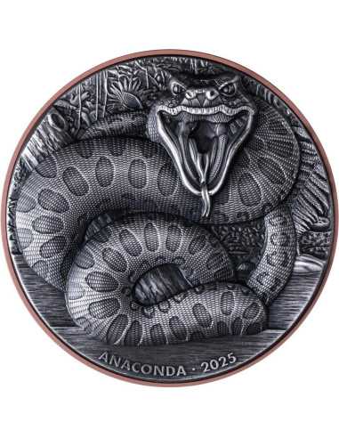 ANACONDA Double Giant Predators Silbermünze 10 Vatu Vanuatu 2025 - Coins & More - Ozanien