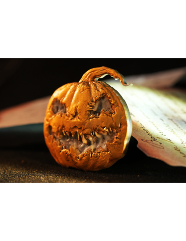 BEWITCHED PUMPKIN Moneda de Plata de 2 Oz 2000 Francos Camerún 2025 - Coins & More - Camerún