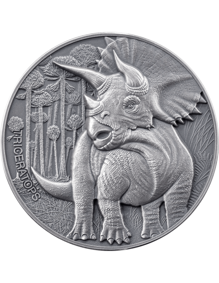 Moneta d'Argento da 2 Oz 2000 Franchi Camerun 2024 TRICERATOPS Mondo Perduto - Coins & More - Camerun