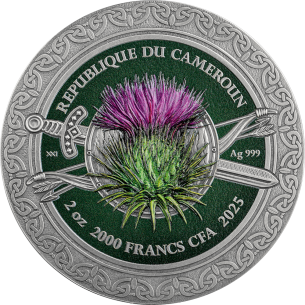 CELTIC Femina Bellator 2 Oz Silver Coin 2000 Francs CFA Cameroon 2025 - Coins & More - Cameroon 2