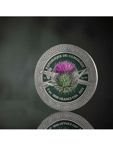 CELTIC Femina Bellator 2 Oz Silbermünze 2000 Francs CFA Kamerun 2025 - Coins & More - Kamerun