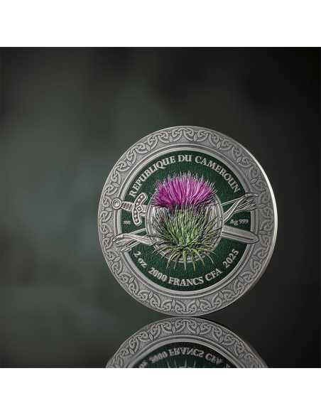 Moneta d'argento da 2 once CELTIC Femina Bellator 2000 Franchi CFA Camerun 2025 - Coins & More - Camerun