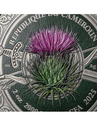 CELTIC Femina Bellator 2 Oz Silbermünze 2000 Francs CFA Kamerun 2025 - Coins & More - Kamerun