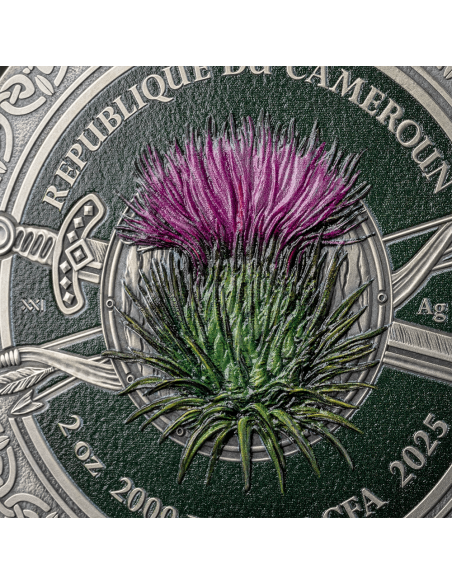 Moneta d'argento da 2 once CELTIC Femina Bellator 2000 Franchi CFA Camerun 2025 - Coins & More - Camerun