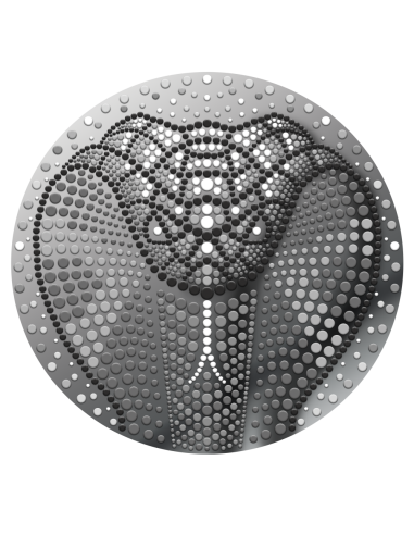 AÑO DE LA SERPIENTE Moneda de Plata de 2 Oz 5$ Niue 2024 - Coins & More - Niue