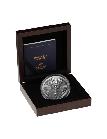 AÑO DE LA SERPIENTE Moneda de Plata de 2 Oz 5$ Niue 2024 - Coins & More - Niue
