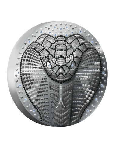 YEAR OF THE SNAKE 1 Kg Silver Coin 50$ Niue 2024 - Coins & More - Niue