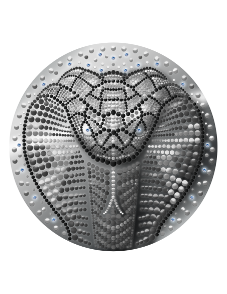 JAHR DER SCHLANGE 1 Kg Silbermünze 50$ Niue 2024 - Coins & More - Niue