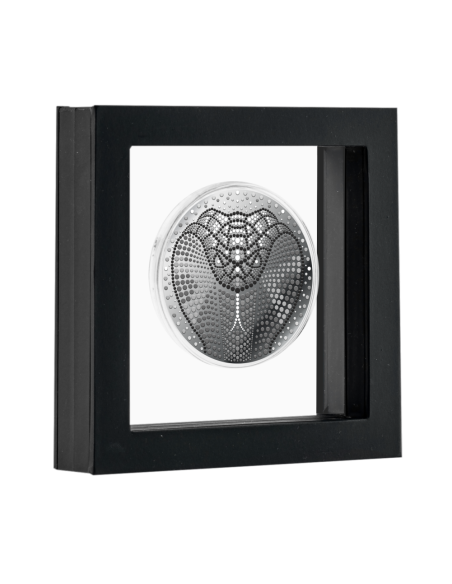 YEAR OF THE SNAKE 1/2 Oz Silver Coin 1$ Niue 2024 - Coins & More - Niue