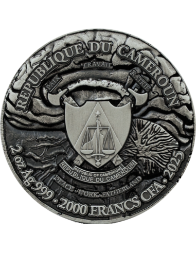 Moneta d'Argento da 2 Oz ARACHNE 2000 Franchi CFA Cameroun 2025 - Coins & More - Camerun