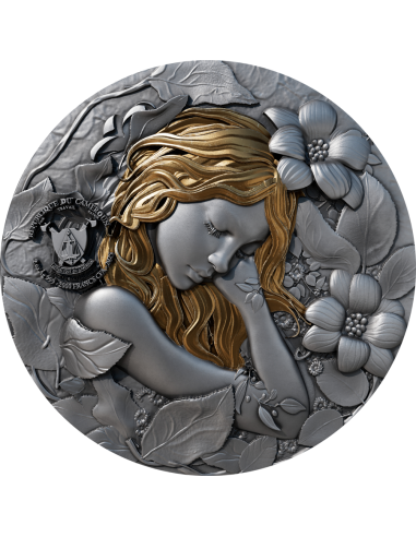 FATA IN MAGICLANDIA Moneta d'argento da 2 once serie magica 2000 franchi Camerun 2025 - Coins & More - Camerun