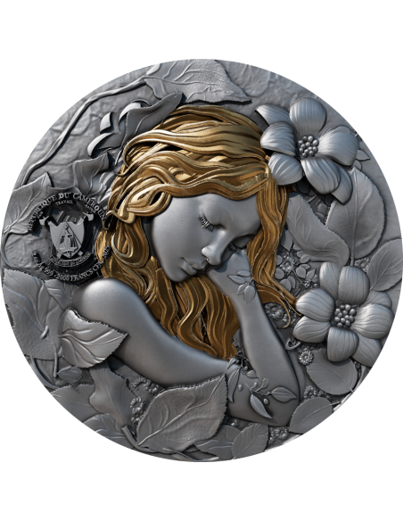 FATA IN MAGICLANDIA Moneta d'argento da 2 once serie magica 2000 franchi Camerun 2025 - Coins & More - Camerun