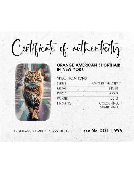 ORANGE AMERICAN SHORTHAIR IN NEW YORK Cats in the City Lingote de plata fundida de primera calidad 100 g - Coins & More - Plata