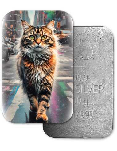 ORANGE AMERICAN SHORTHAIR IN NEW YORK Cats in the City Premium Cast Bar 100g Argento - Coins & More - Argento