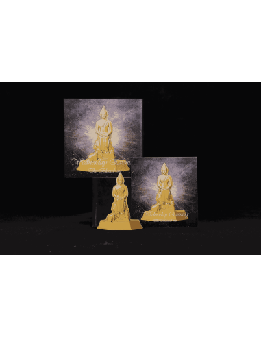 MITTWOCHSABEND BUDDHA DER Gesegnete 7 Tage Buddha Serie 1 Oz Silbermünze 5000 Francs Chad 2024 - Coins & More - Tschad