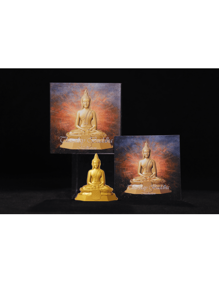 JEUDI BUDDHA MEDITATION 7 jours Série Bouddha 1 Oz Pièce en argent 5000 Francs Tchad 2024 - Coins & More - Tchad