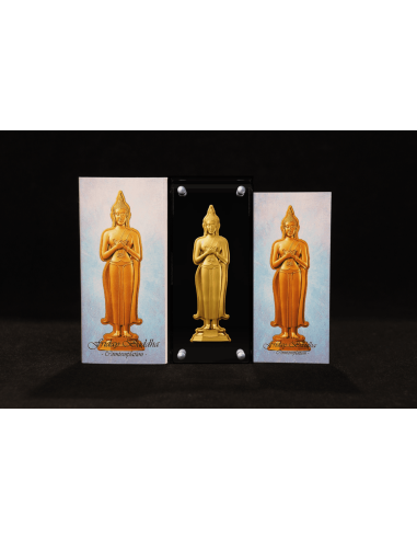FRIDAY BUDDHA CONTEMPLATION 7 Tage Buddha Serie 1 Oz Silbermünze 5000 Francs Chad 2024 - Coins & More - Tschad