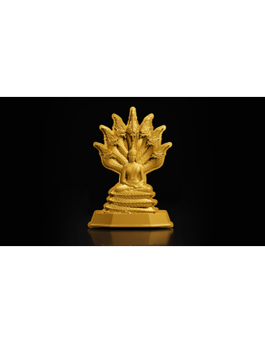 SATURDAY BUDDHA PROTECTION 7 Tage Buddha Serie 1 Oz Silbermünze 5000 Francs Chad 2024 - Coins & More - Tschad