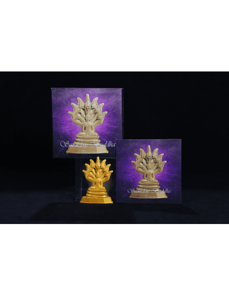 SATURDAY BUDDHA PROTECTION 7 Days Buddha Series 1 Oz Silver Coin 5000 Francs Chad 2024 - Coins & More - Chad