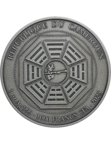 GRAND MASTER LEE CHUN FENG Moneta d'argento da 1 Oz 1000 Franchi Camerun 2025 - Coins & More - Camerun