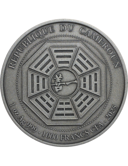 GRAND MASTER LEE CHUN FENG 1 Oz Silver Coin 1000 Francs Cameroon 2025 - Coins & More - Cameroon