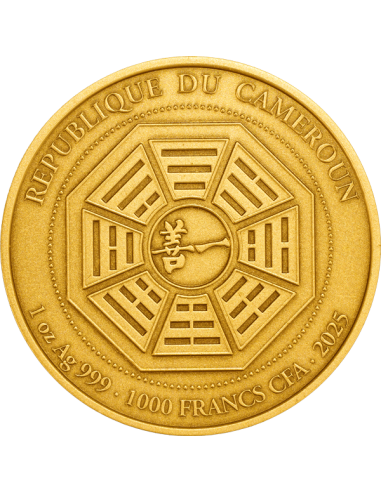 GRAND MAITRE LEE CHUN FENG Pièce 1 Oz Argent Doré 1000 Francs Cameroun 2025 - Coins & More - Cameroun