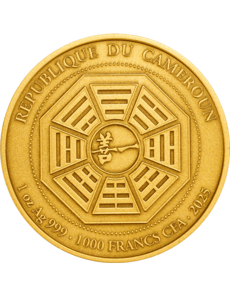 GRAND MASTER LEE CHUN FENG Moneta d'oro dorata da 1 Oz d'argento da 1000 Franchi Camerun 2025 - Coins & More - Camerun