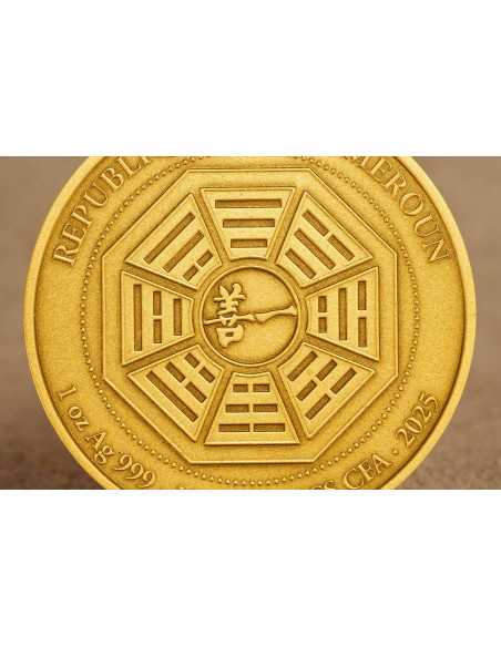 GRAND MASTER LEE CHUN FENG Moneta d'oro dorata da 1 Oz d'argento da 1000 Franchi Camerun 2025 - Coins & More - Camerun