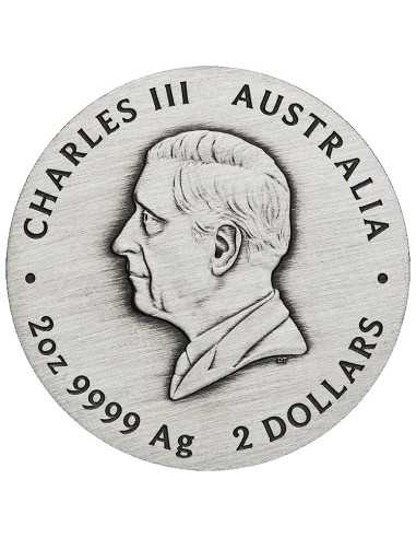 ANNO DEL SERPENTE Moneta d'argento da 2 Oz 2$ Australia 2025 - Coins & More - Australia