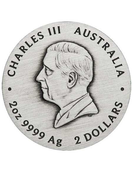 ANNO DEL SERPENTE Moneta d'argento da 2 Oz 2$ Australia 2025 - Coins & More - Australia