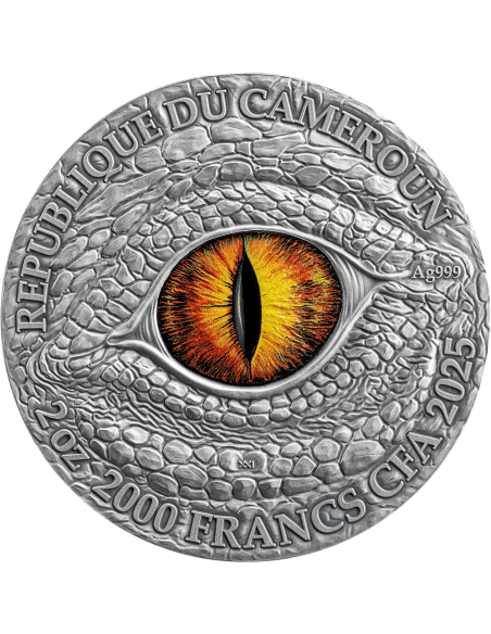 MITICA IDRA Dragonologia Moneta d'Argento da 2 Oz 2000 Franchi Camerun 2025 - Coins & More - Camerun