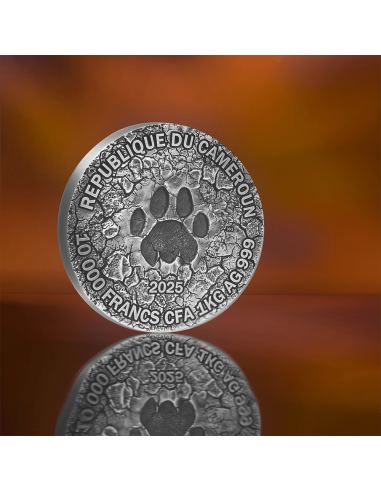 THE GRAND HUNTING Circle of Life 1 Kg Silver Coin 10000 Francs Cameroon 2025 - Coins & More - Cameroon