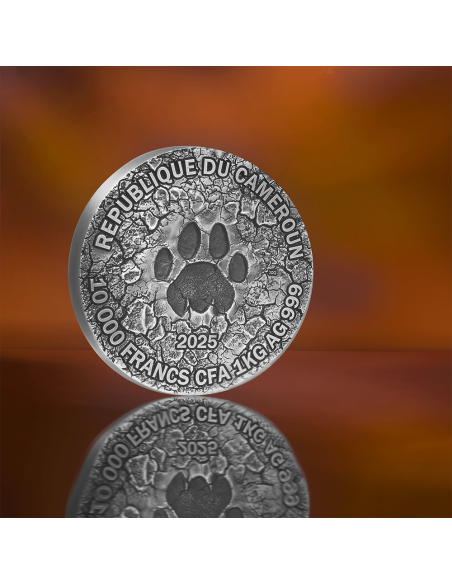 LA GRANDE CHASSE Cercle de vie Pièce de 1 Kg en argent 10000 Francs Cameroun 2025 - Coins & More - Cameroun