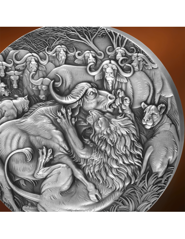 THE GRAND HUNTING Circle of Life 1 Kg Silver Coin 10000 Francs Cameroon 2025 - Coins & More - Cameroon