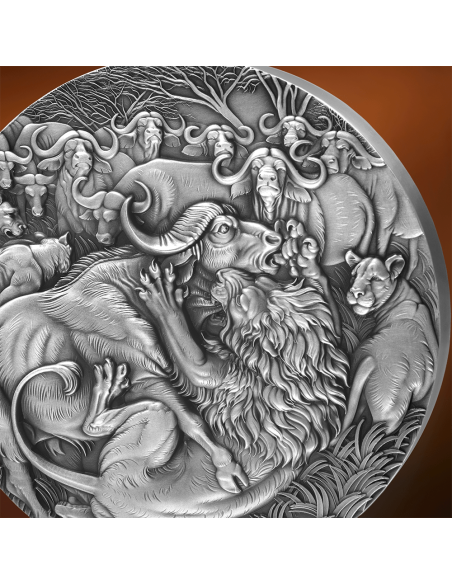 LA GRANDE CHASSE Cercle de vie Pièce de 1 Kg en argent 10000 Francs Cameroun 2025 - Coins & More - Cameroun