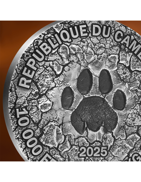 LA GRAN CAZA Círculo de la Vida Moneda de Plata de 1 Kg 10000 Francos Camerún 2025 - Coins & More - Camerún