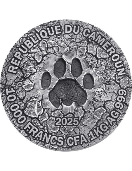 LA GRAN CAZA Círculo de la Vida Moneda de Plata de 1 Kg 10000 Francos Camerún 2025 - Coins & More - Camerún