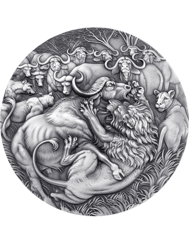 LA GRAN CAZA Círculo de la Vida Moneda de Plata de 1 Kg 10000 Francos Camerún 2025 - Coins & More - Camerún