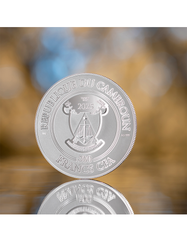 SIMONETTA VESPUCCI Zeitlose Schönheit 1/2 Oz Silbermünze 500 Francs CFA Kamerun 2025 - Coins & More - Kamerun