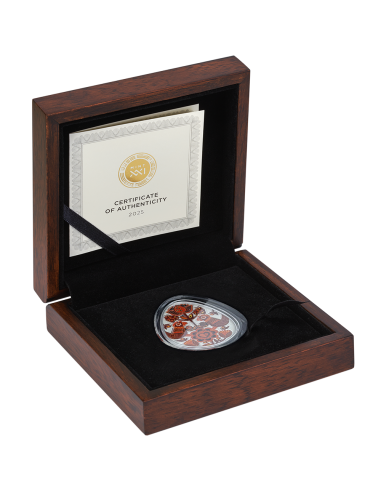 SVITANOK Moneta d'argento ucraina da 1 Oz 5 Cedis Ghana 2025 - Coins & More - Ghana