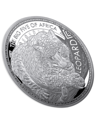 THE BIG FIVE OF AFRICA 5 x 1 Oz Moneta d'Argento 25 Franchi Burundi 2025 - Coins & More - Burundi