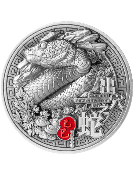 SERPENTE CHE EMERGE DALLA LAGUNA Ciclo Sessagenario Cinese Moneta d'Argento da 2 Oz 10000 Franchi Chad 2025 - Coins & More - ...