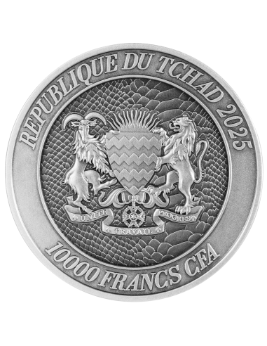 SERPENTE CHE EMERGE DALLA LAGUNA Ciclo Sessagenario Cinese Moneta d'Argento da 2 Oz 10000 Franchi Chad 2025 - Coins & More - ...